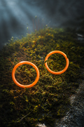 Duro Polyurethaan O-Rings
