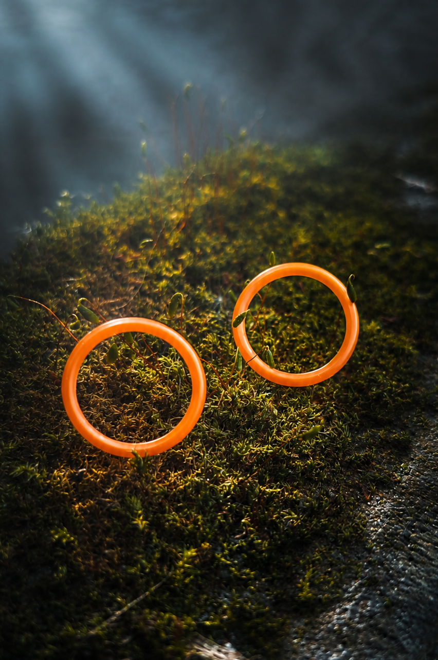 Duro Polyurethaan O-Rings