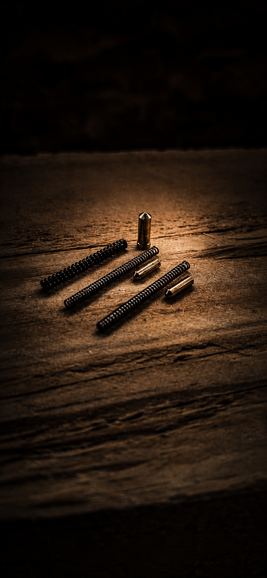 Wolverine MTW Detent and Spring Kit